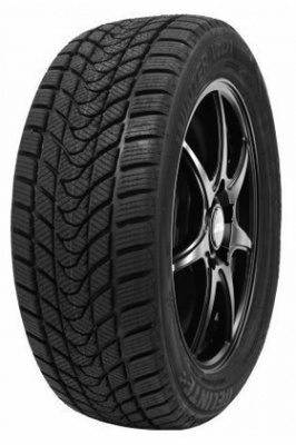 Delinte Winter WD1 255/45 R19 100H